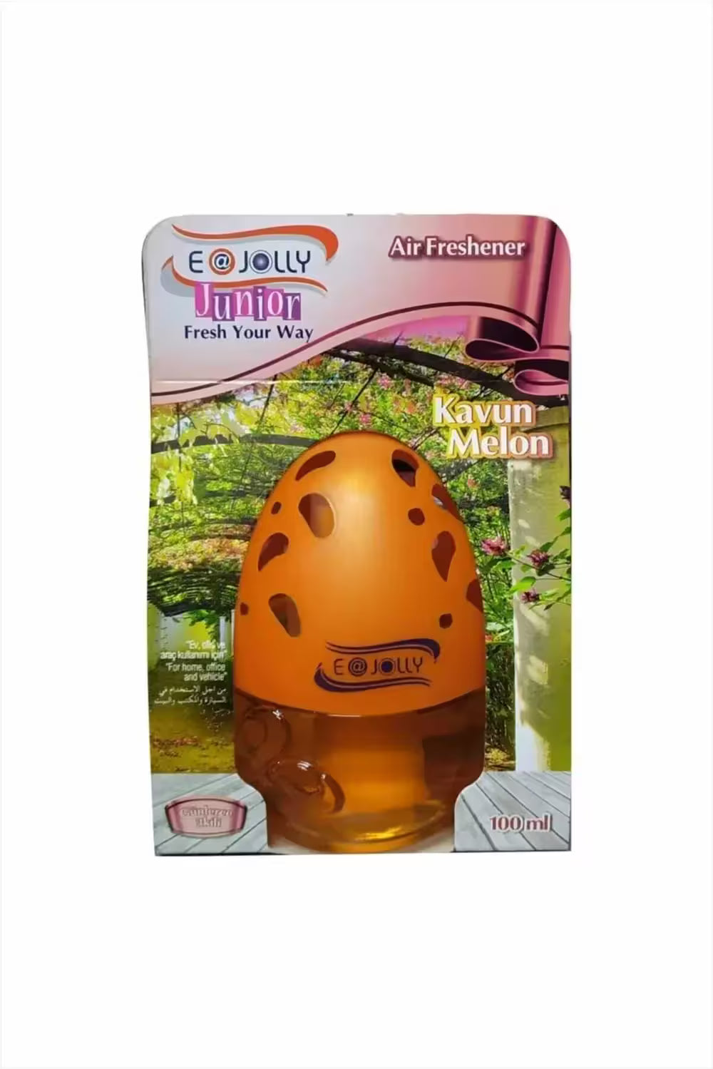 Clean Stoff Kavunlu Kavanoz Araç Kokusu 2 Adet 100ml